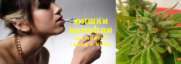 ешки Верхний Тагил