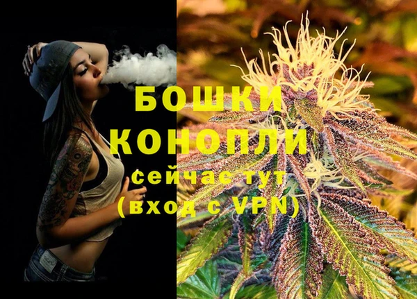 ешки Верхний Тагил