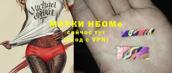 ГАЛЛЮЦИНОГЕННЫЕ ГРИБЫ Рославль