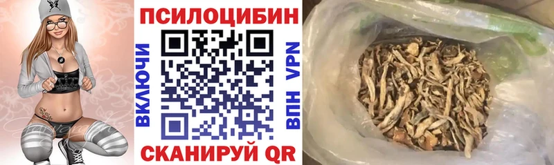 Псилоцибиновые грибы MAGIC MUSHROOMS  где продают наркотики  Лихославль 